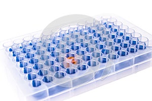 Well plate with samples