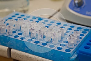 Well plate with test tubes with frozen DNA samples for PCR-reaction analysis