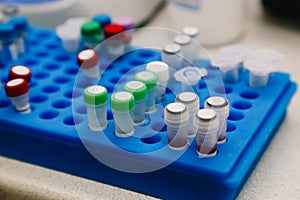 Well plate with test tubes with samples for analysis