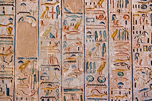 well preserved ancient red limestone Egyptian relief with colored detailed hieroglyphs