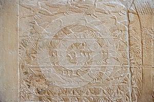 well preserved pale ancient limestone Egyptian relief with flying birds, ducks and geese among grass and flowers