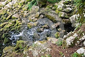 Well  source of the Grza river in Serbia
