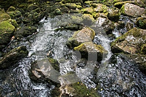Well  source of the Grza river in Serbia