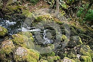 Well  source of the Grza river in Serbia