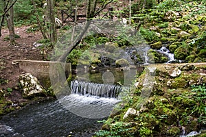 Well  source of the Grza river in Serbia