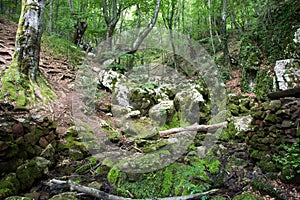 Well  source of the Grza river in Serbia