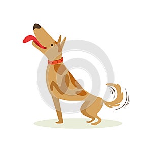 Well Trained Brown Pet Dog Striking A Pose, Animal Emotion Cartoon Illustration