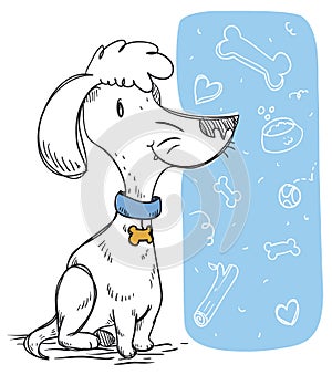 Well Trained Poodle with some Funny Doodles, Vector Illustration