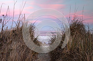 Well Trodden Pathway to the Ocean Through the Dunes