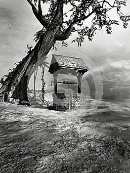 Well under a creepy tree