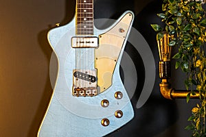 A well used looking Theta guitar hangs on a wall next to a lightbulb and plant