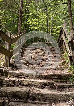 Well worn stone steps in a state park