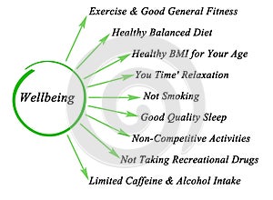 Wellbeing