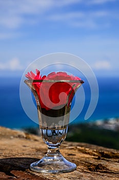 wellcome drink : Cold water and red flower in clear glass on blue sky background