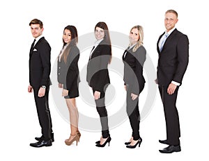 Welldressed businesspeople standing in a line