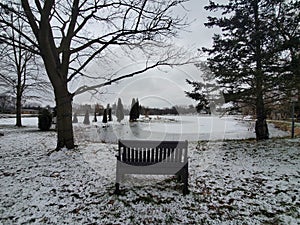 At Wellesley Pond