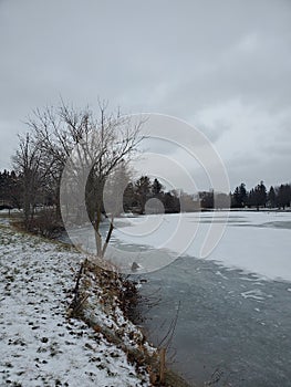 Wellesley Pond in December