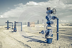 Wellhead with valve armature.