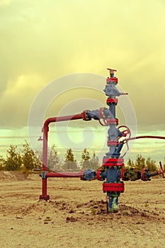 Wellhead with valve armature.