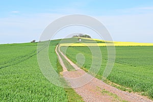 Welling, Germany - 05 09 2021: dirt road up the hill to a white chapel in the grain fields photo