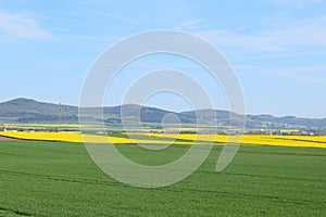 Welling, Germany - 05 09 2021: green and yellow fields with Flugplatz Mendig in the background photo