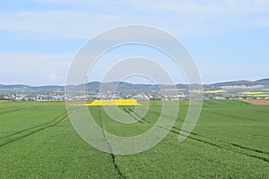 Welling, Germany - 05 09 2021: green and yellow fields with Mendig in the background photo