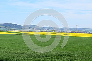 springtime with yellow fields in the Eifel between Welling and ThÃÂ¼r photo