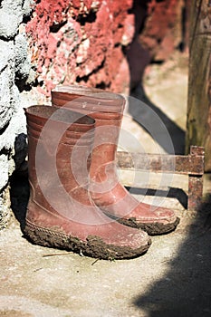 Wellington boots