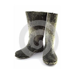 Wellington boots