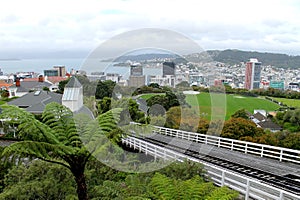 Wellington cable car tracks view