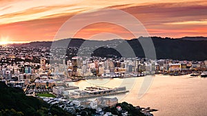 Wellington city and harbour from Mount Victoria, New Zealand.