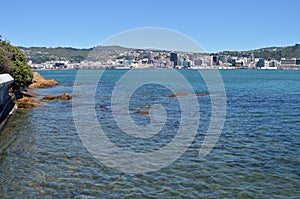 Wellington Harbour & City Vertical Early Morning Panorama