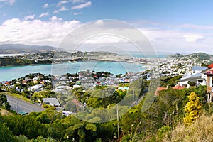 Wellington, Mount Victoria Lookout, New Zealand