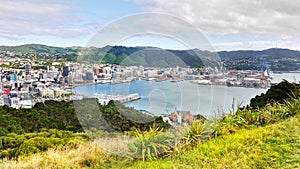 Wellington, New Zealand