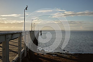 Wellington Point Jetty