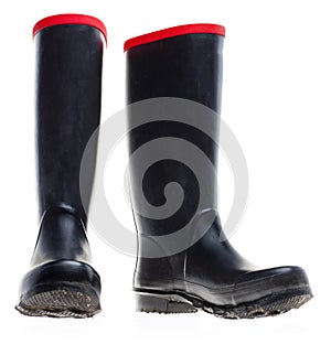 Wellingtons