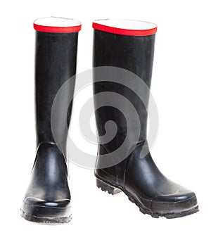 Wellingtons