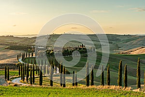 A wellknown Tuscan landscape with grain fields, cypresses and houses in the hills at sunset. Autumn rural landscape with