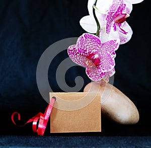 Wellnes card and pink orchid.