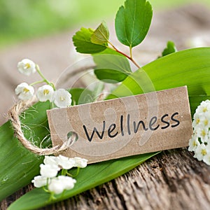 Wellness photo