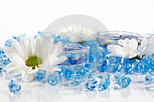 Wellness and aromatherapy