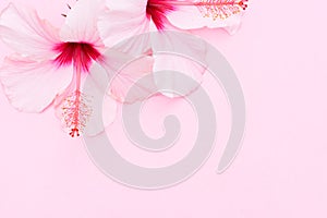 Wellness background with hibiscus flower