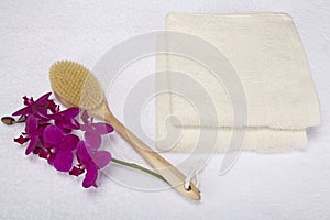 Wellness - Bath brush, towels and decoration