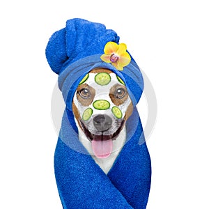 Wellness beauty mask spa dog