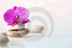 Wellness, relax, massage and wellbeing concept. Spa stones and orchid flower over white background