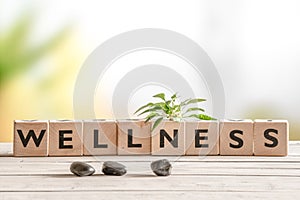 Wellness sign with wooden cubes