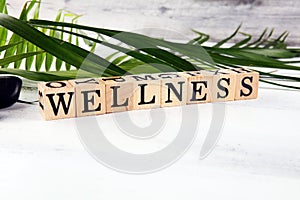Wellness sign with wooden cubes with leaves and stones. Relax therapy care spa wellness concept