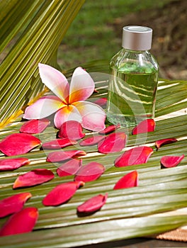 Wellness spa setting on coconut leaf