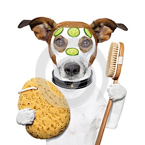 Wellness spa wash sponge dog