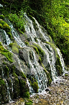 Wellspring and cascade at Tara mountain and national park photo